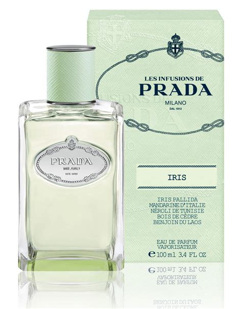 perfume prada iris cedre feminino|infusion d'iris prada.